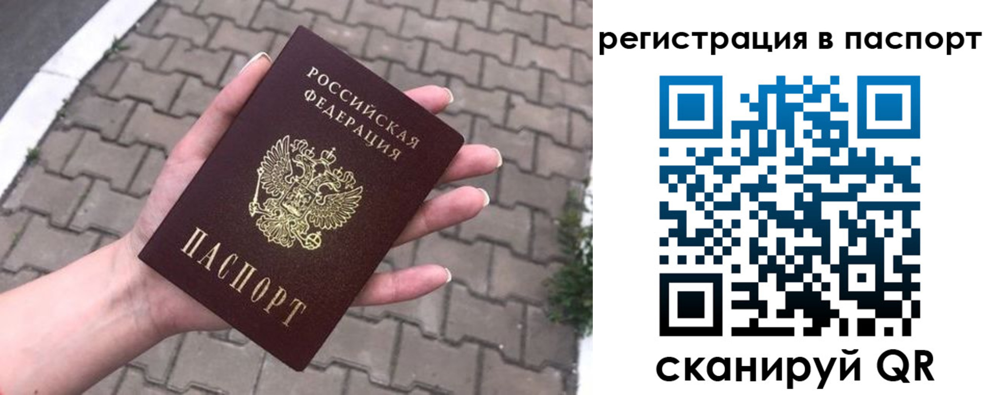 временная регистрация поиск в Тайге